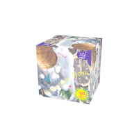 Новогодняя ночь Салют купить в Кольчугино | kolchugino.salutsklad.ru