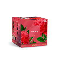 Пионы Салют купить в Кольчугино | kolchugino.salutsklad.ru