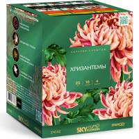 Хризантемы Фейерверк купить в Кольчугино | kolchugino.salutsklad.ru