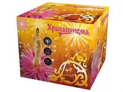 Хризантема Салют купить в Кольчугино | kolchugino.salutsklad.ru