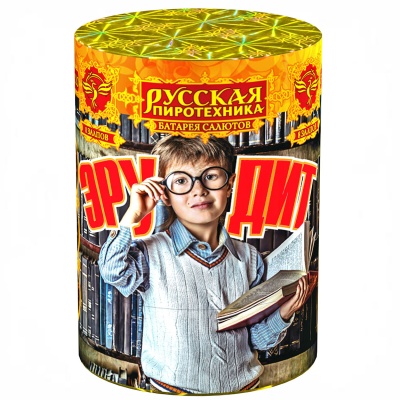 Эрудит Салют купить в Кольчугино | kolchugino.salutsklad.ru
