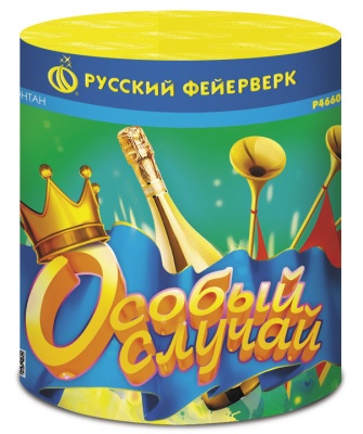 Особый случай Пиротехнический фонтан купить в Кольчугино | kolchugino.salutsklad.ru