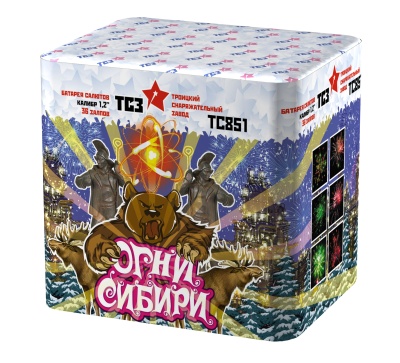 Огни Сибири Салют купить в Кольчугино | kolchugino.salutsklad.ru