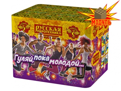 Гуляй, пока молодой... Фейерверк купить в Кольчугино | kolchugino.salutsklad.ru