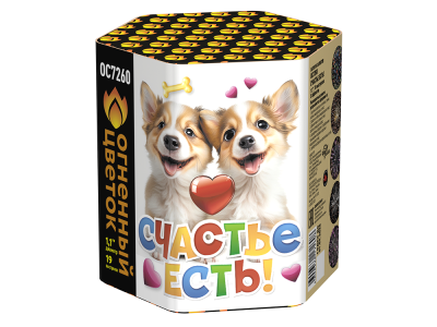 Счастье есть! Салют купить в Кольчугино | kolchugino.salutsklad.ru