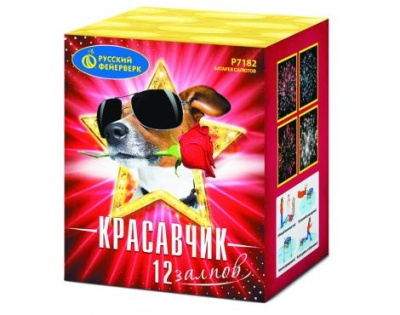 Красавчик Салют купить в Кольчугино | kolchugino.salutsklad.ru
